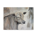 Lazy day Charolais" Printed Matte Canvas, Stretched, 1.25"