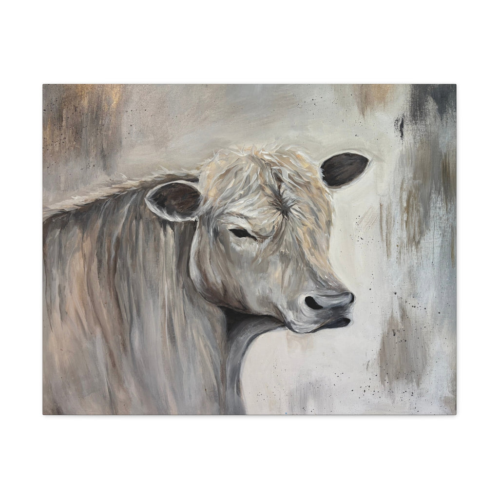 "Lazy day Charolais" by Janel Novak