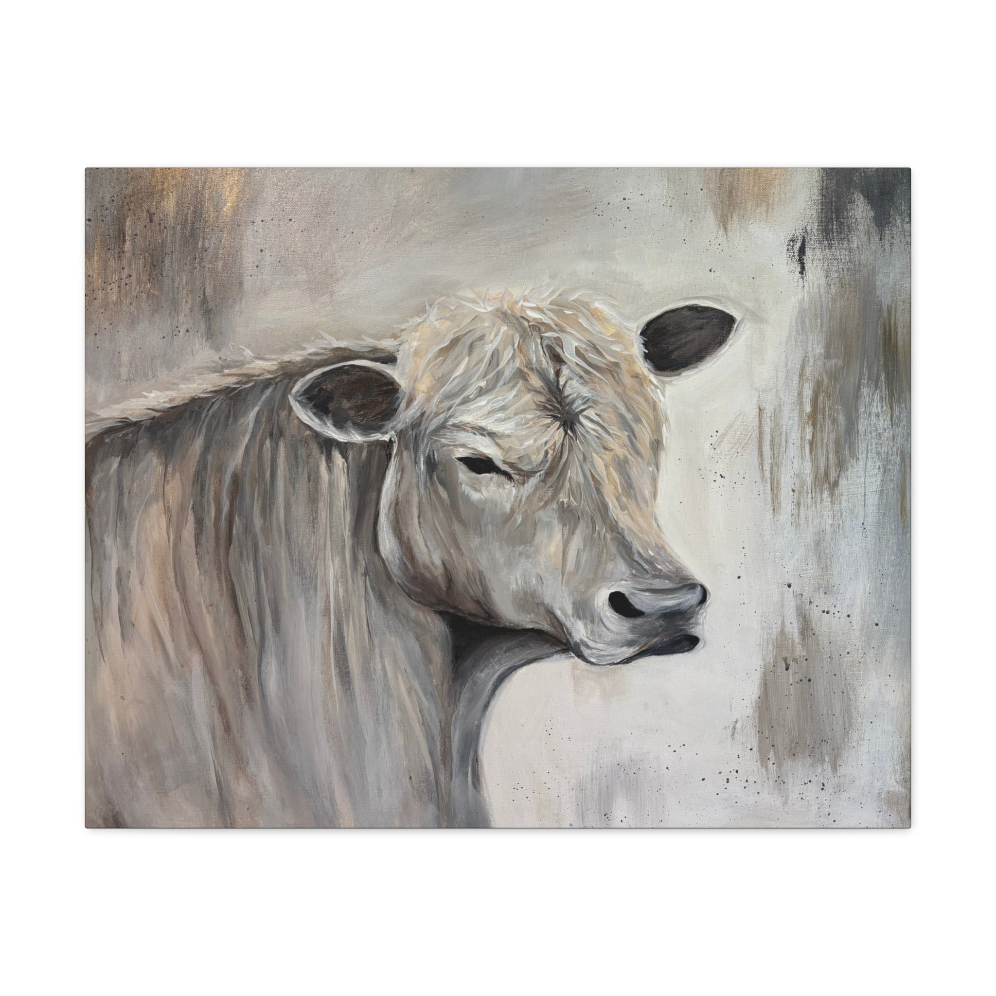 "Lazy day Charolais" by Janel Novak