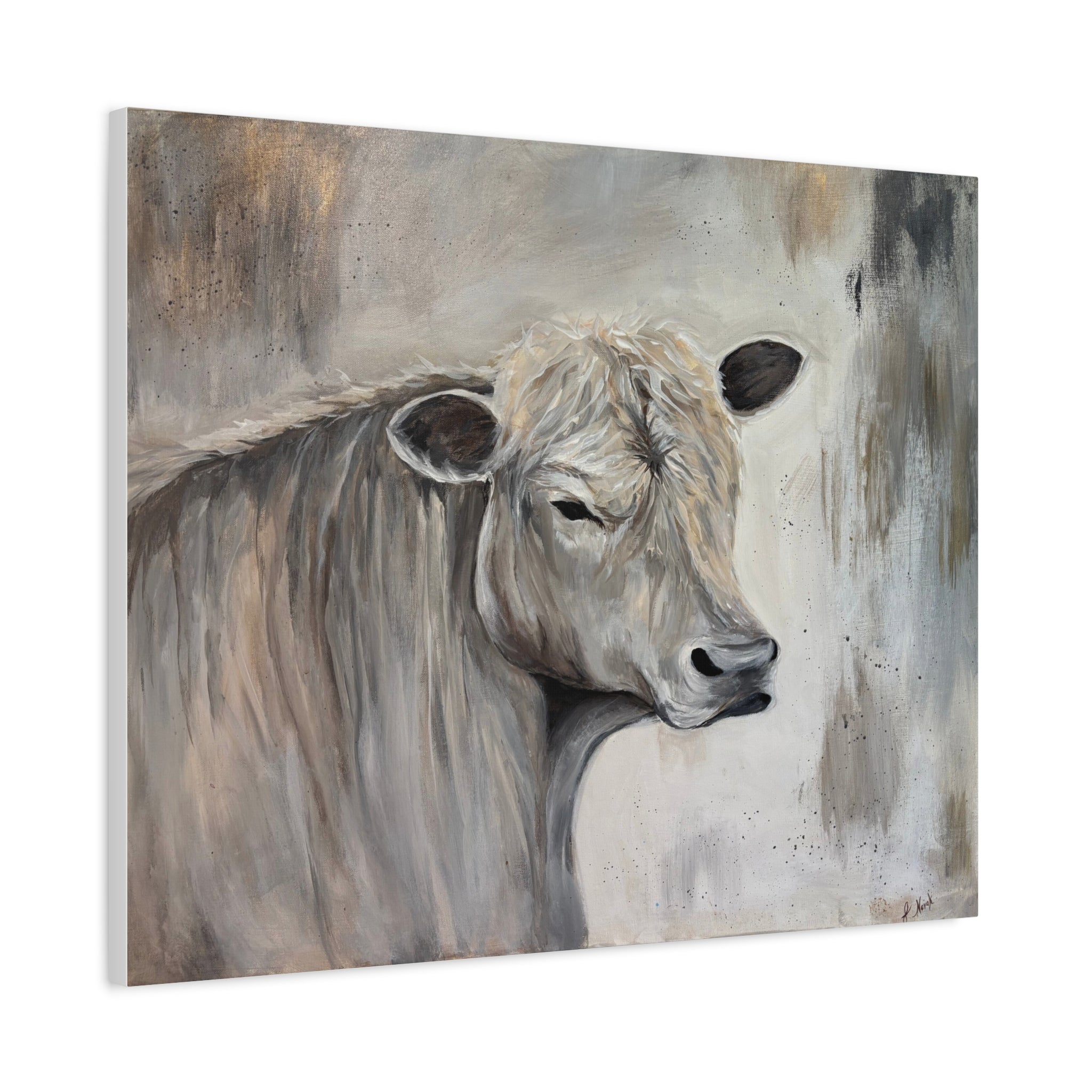 Lazy day Charolais" Printed Matte Canvas, Stretched, 1.25"