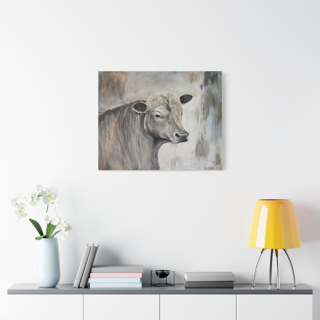 Lazy day Charolais" Printed Matte Canvas, Stretched, 1.25"