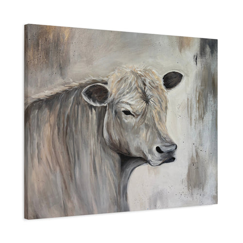 "Lazy day Charolais" by Janel Novak