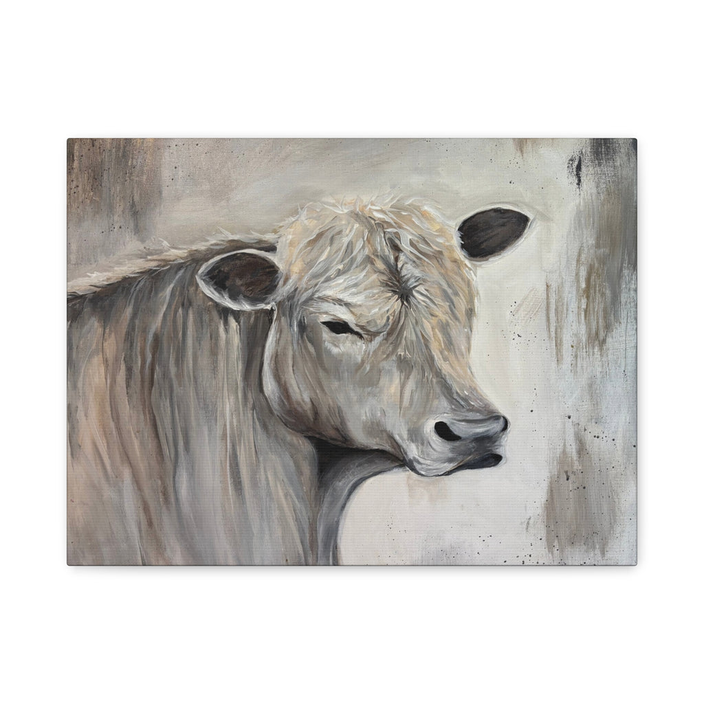 "Lazy day Charolais" by Janel Novak