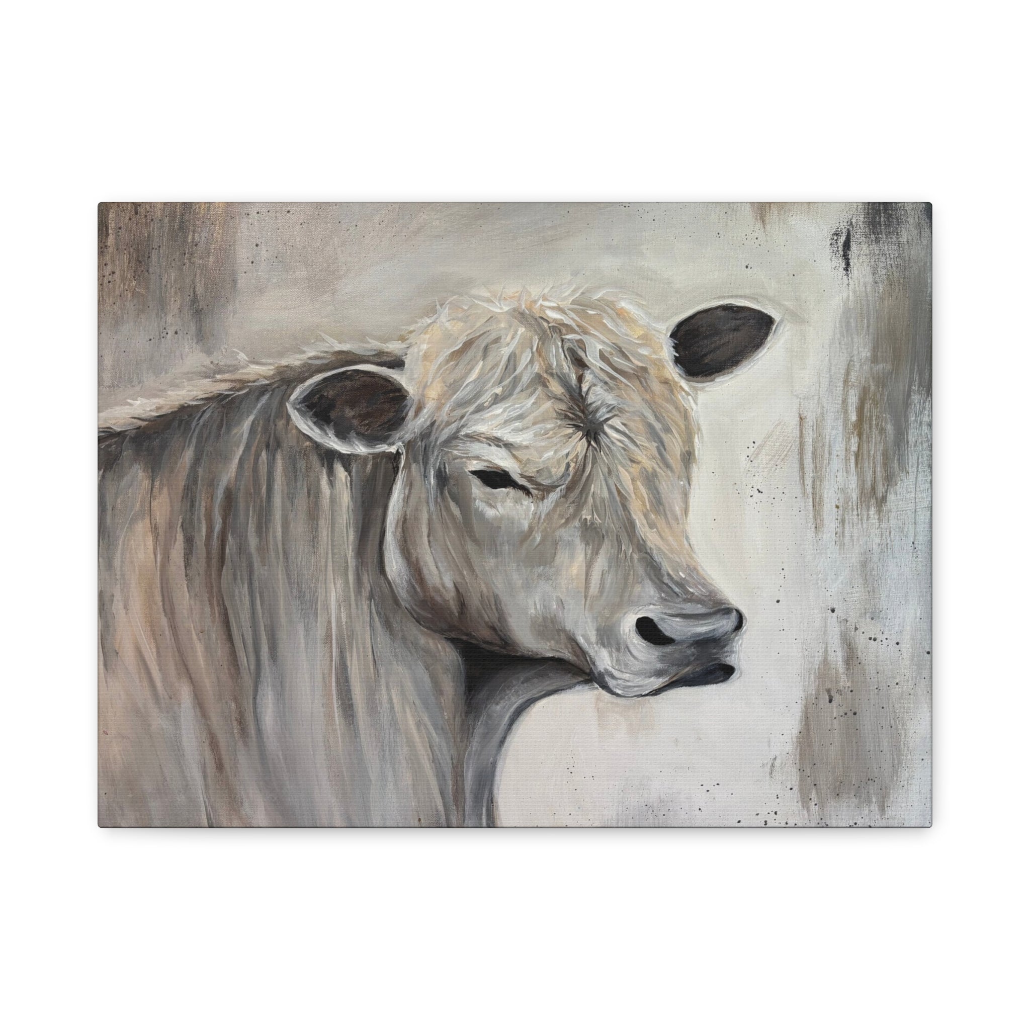 "Lazy day Charolais" by Janel Novak
