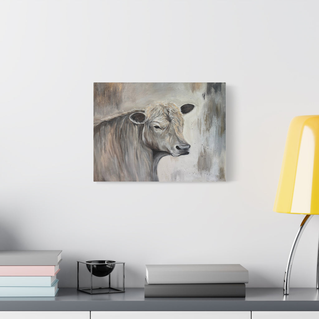 Lazy day Charolais" Printed Matte Canvas, Stretched, 1.25"