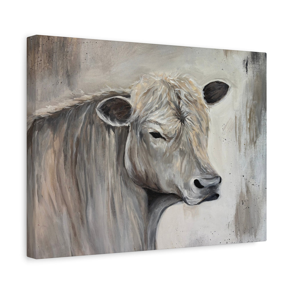 "Lazy day Charolais" by Janel Novak