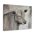 "Lazy day Charolais" by Janel Novak